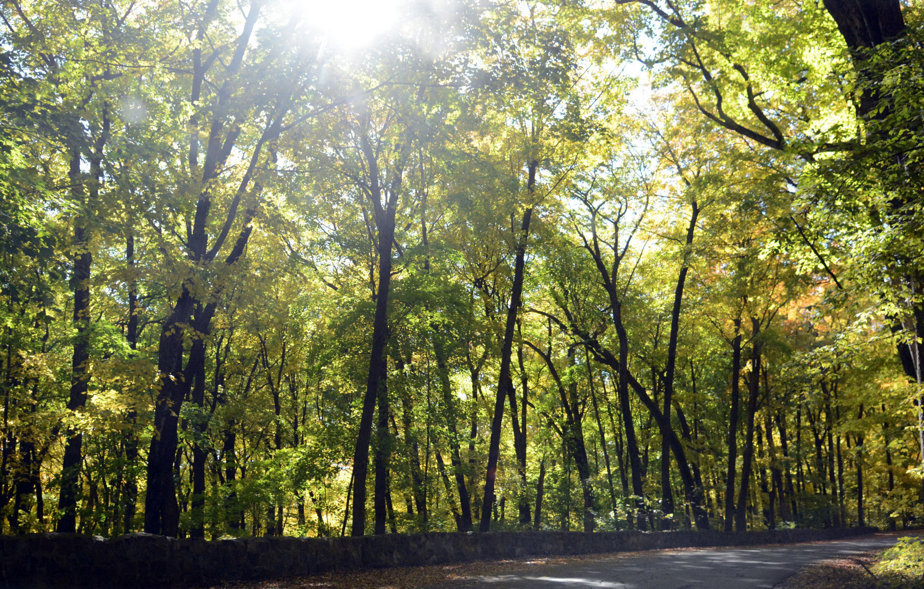 Baraboo area fall color, Oct. 8, 2020
